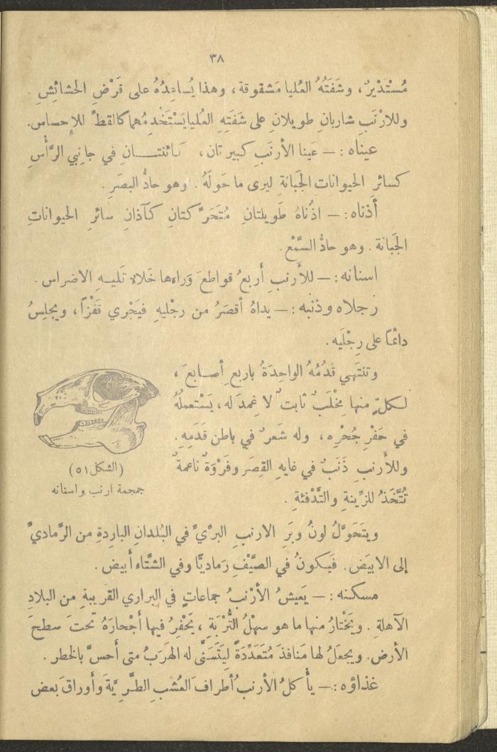 A Book in New Sciences, the 1920s and 1940s 