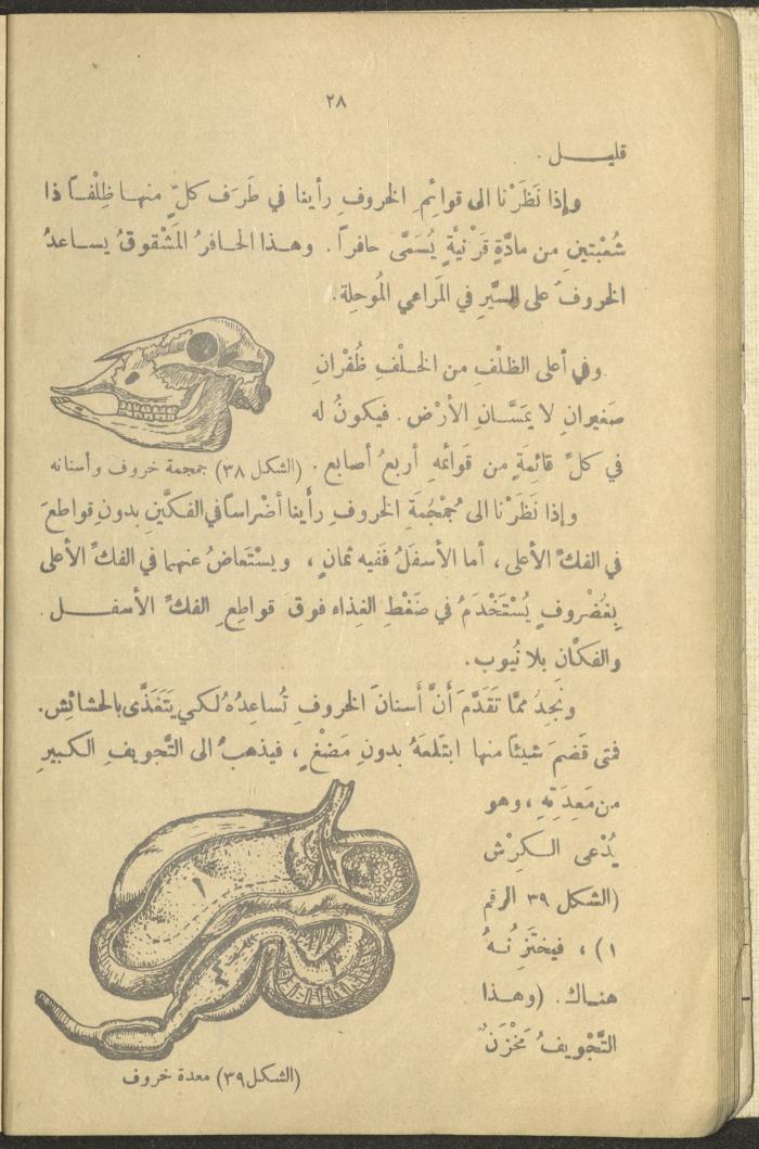 A Book in New Sciences, the 1920s and 1940s 