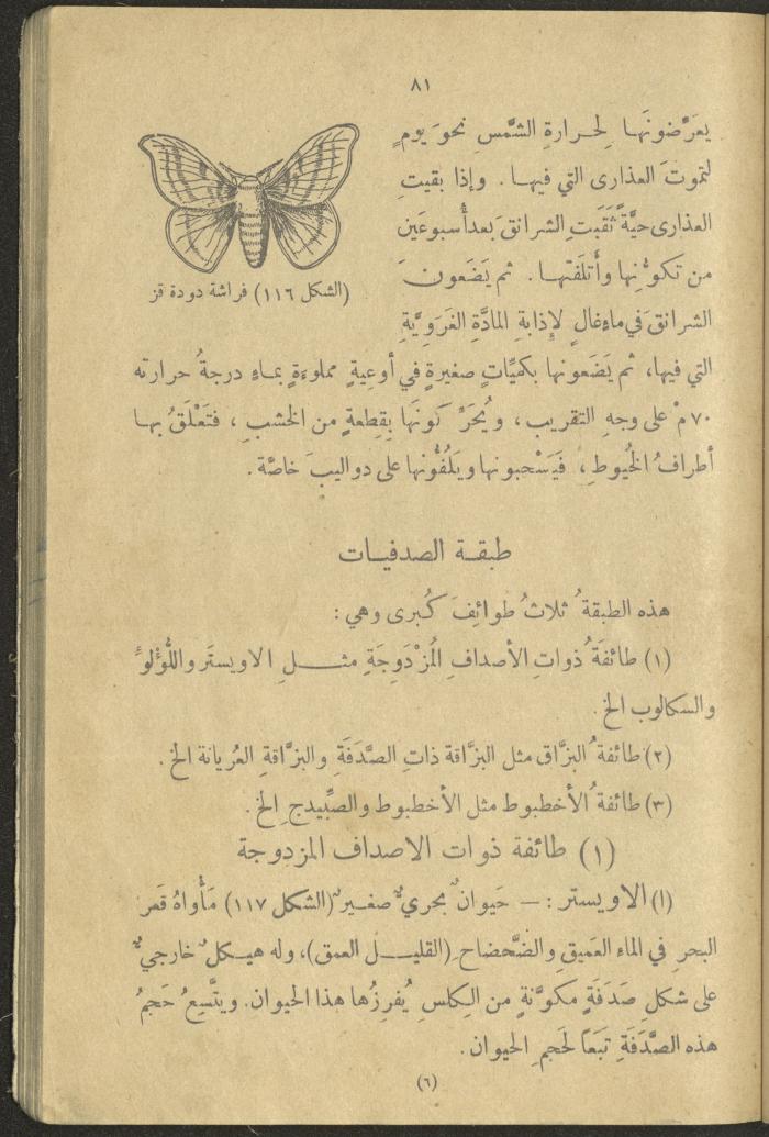 A Book in New Sciences, the 1920s and 1940s 