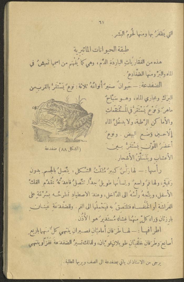A Book in New Sciences, the 1920s and 1940s 