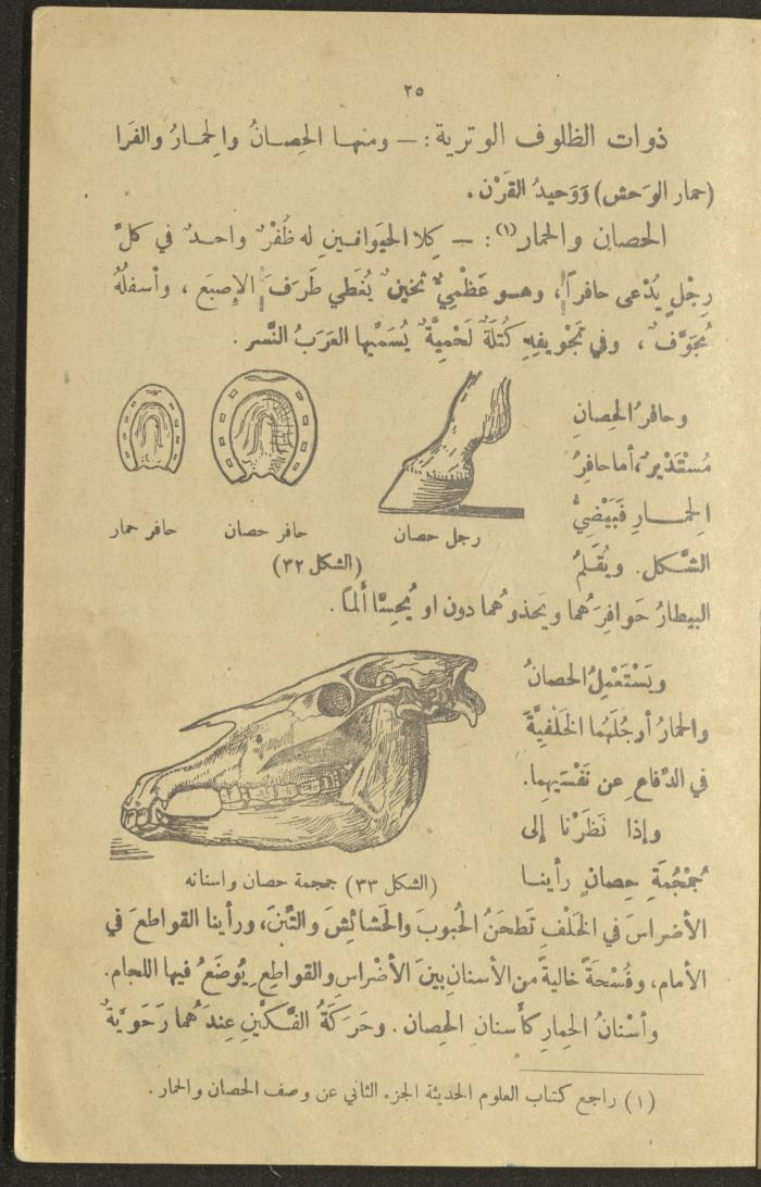 A Book in New Sciences, the 1920s and 1940s 
