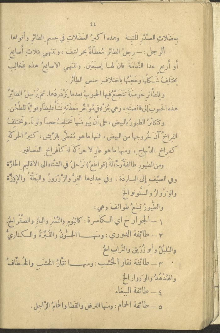 A Book in New Sciences, the 1920s and 1940s 