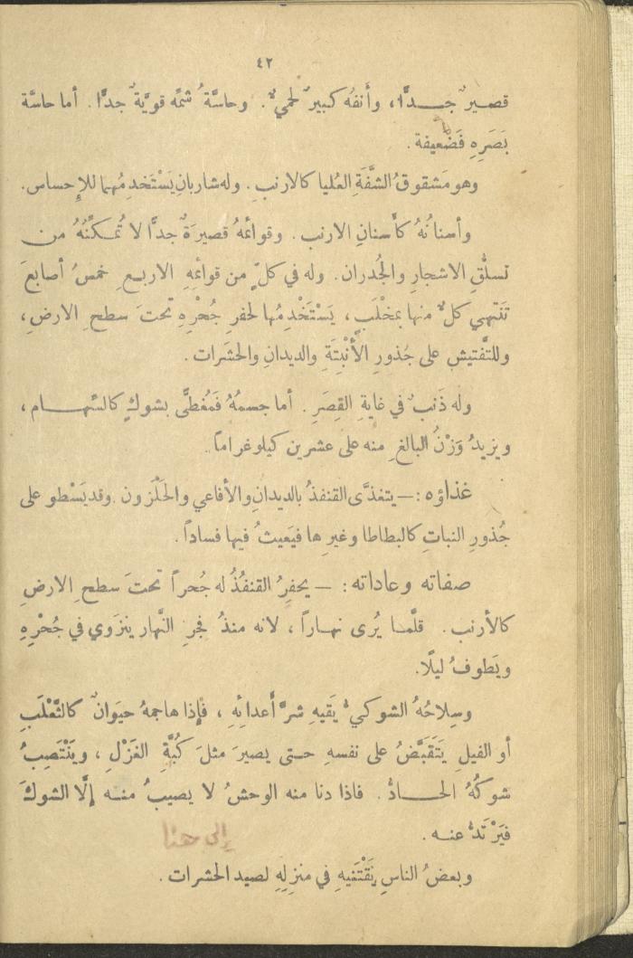 A Book in New Sciences, the 1920s and 1940s 