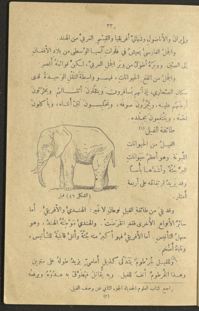A Book in New Sciences, the 1920s and 1940s 