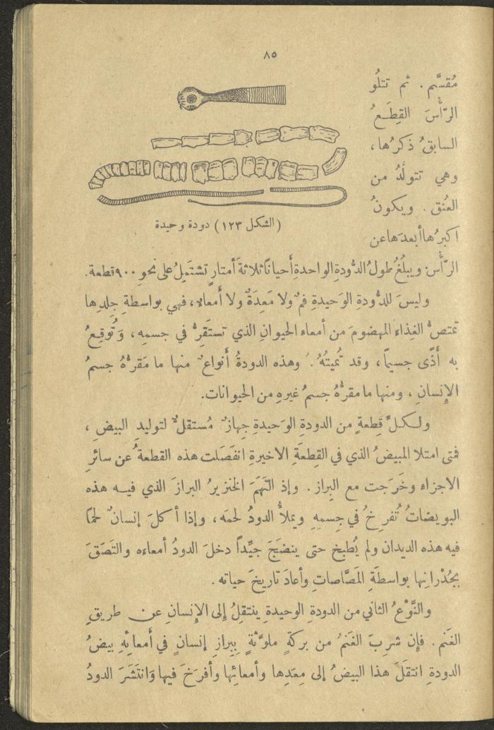 A Book in New Sciences, the 1920s and 1940s 