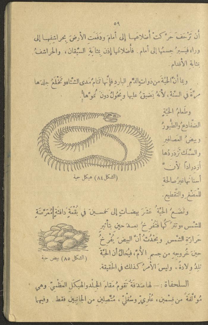 A Book in New Sciences, the 1920s and 1940s 