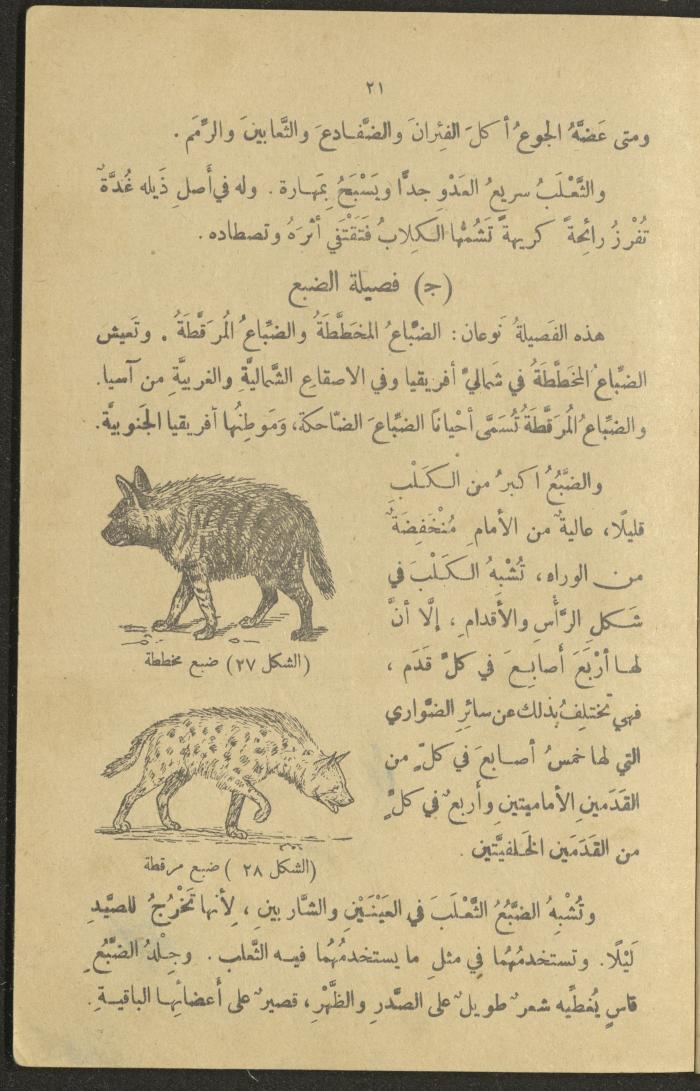 A Book in New Sciences, the 1920s and 1940s 