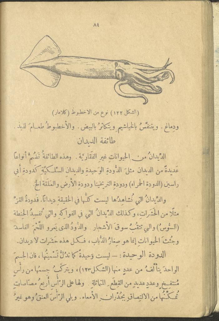 A Book in New Sciences, the 1920s and 1940s 