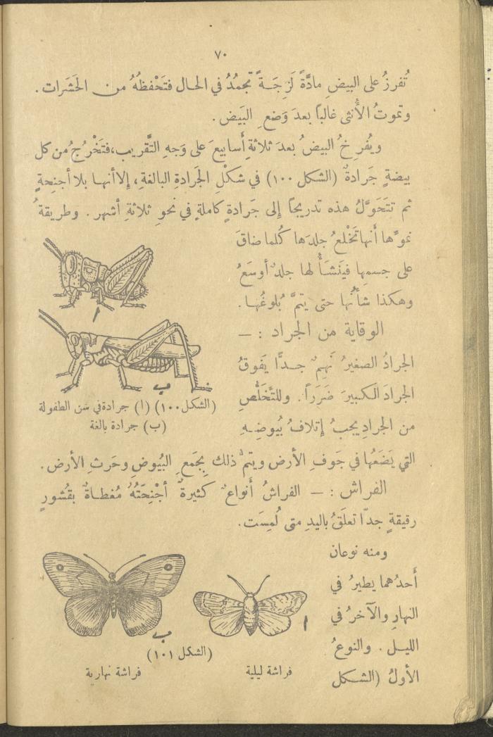 A Book in New Sciences, the 1920s and 1940s 