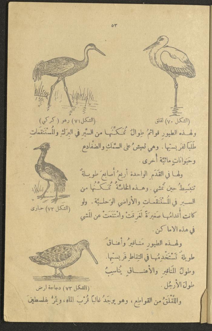 A Book in New Sciences, the 1920s and 1940s 