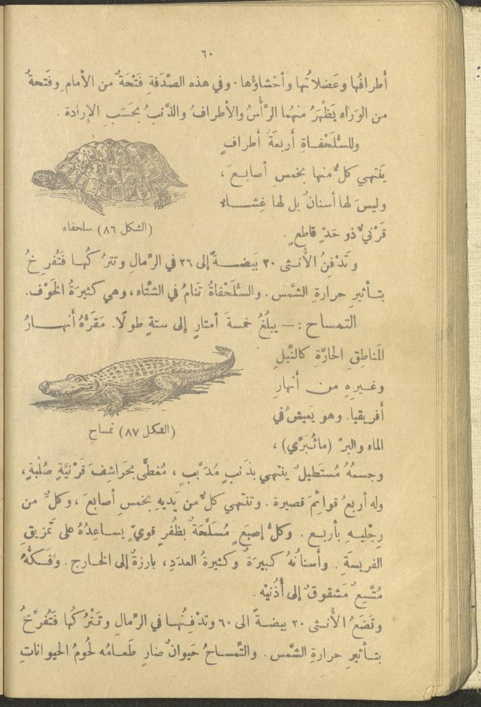 A Book in New Sciences, the 1920s and 1940s 