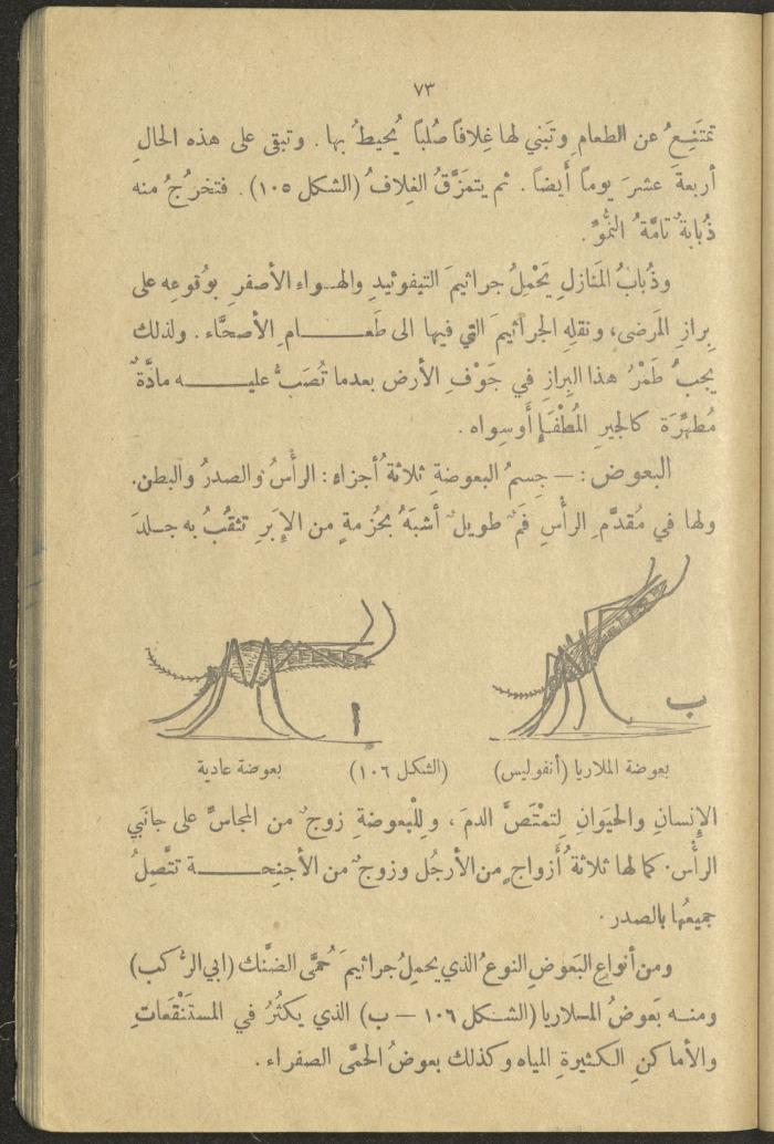 A Book in New Sciences, the 1920s and 1940s 