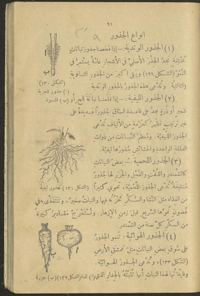 A Book in New Sciences, the 1920s and 1940s 