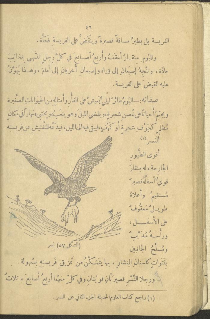 A Book in New Sciences, the 1920s and 1940s 
