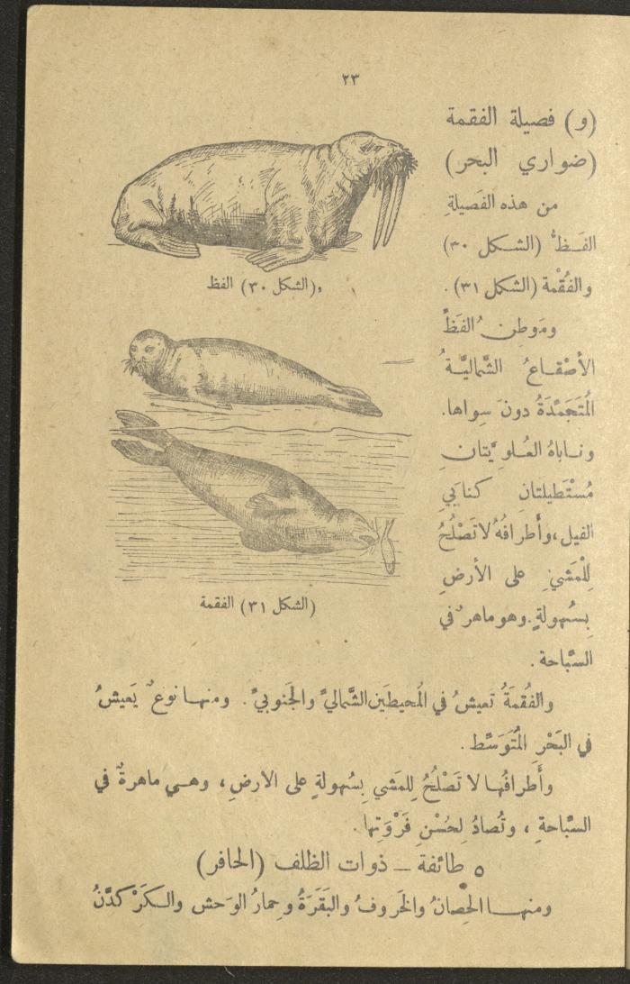 A Book in New Sciences, the 1920s and 1940s 