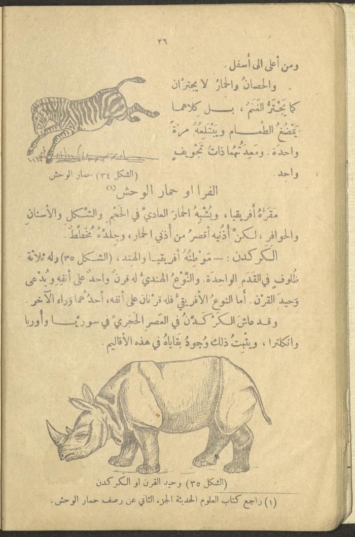 A Book in New Sciences, the 1920s and 1940s 