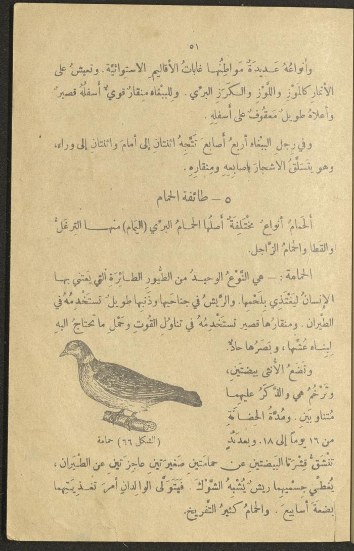 A Book in New Sciences, the 1920s and 1940s 
