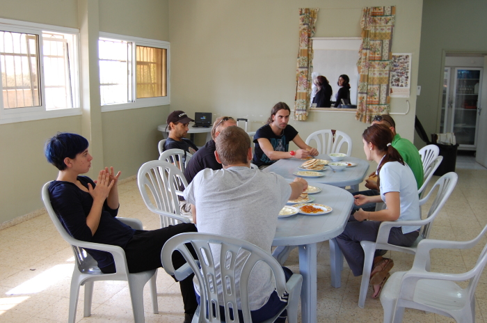 عروض من مهرجان 