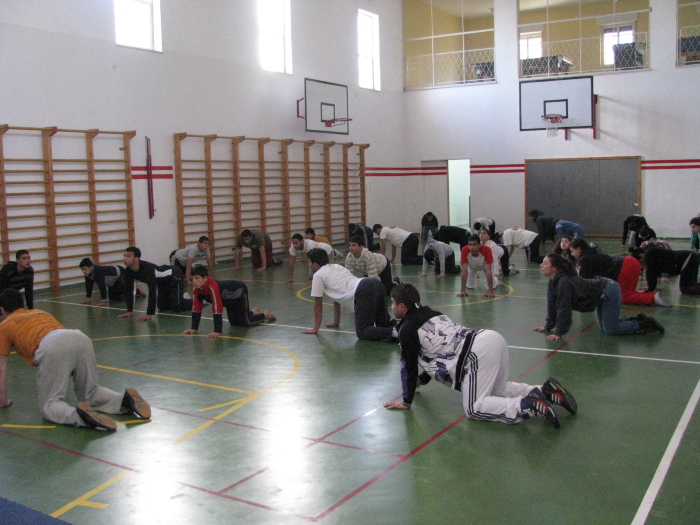 The Palestinian Circus Featuring an Irish Troupe
