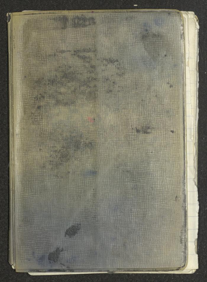 Abd al-Karim Amireh's Notebook, 1965-1970 