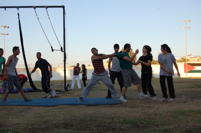 A Photograph of the PCS "Mobile Circus" Show in Jenin, 2010