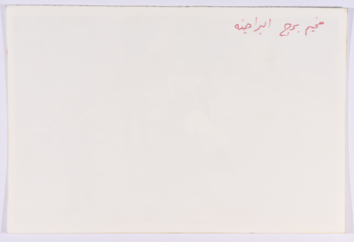 امرأة تجر فتاة على كرسي بعجلات في برج البراجنة