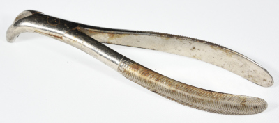 A Dental Instrument for Dentist Mikha