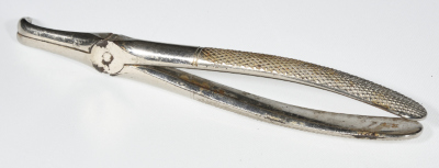 A Dental Instrument for Dentist Mikha