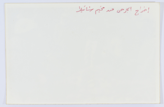 انتشال الجرحى، مخيم شاتيلا، 1980- 1989