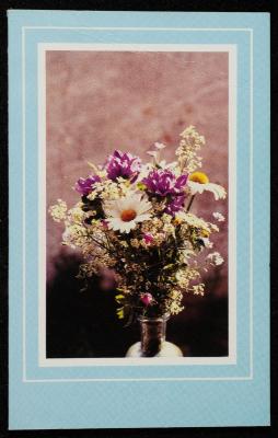 بطاقة بريدية مُرسلة إلى حنا إبراهيم، البعنة- الجليل، 22 نيسان 1984