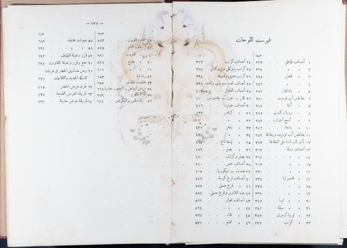 Index and Introduction of the Book 