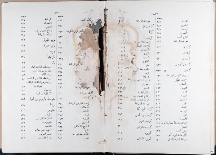 Index and Introduction of the Book 