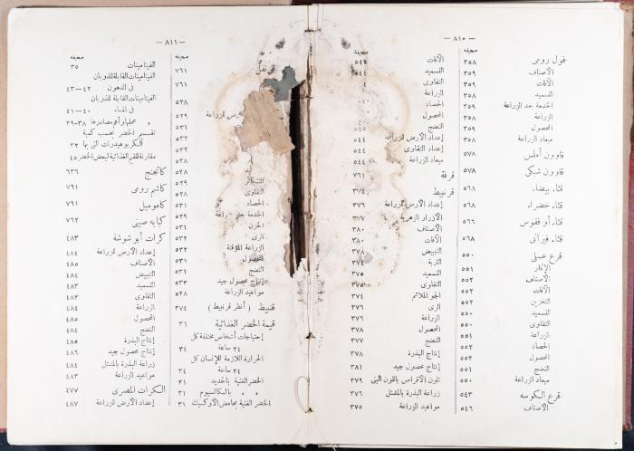 Index and Introduction of the Book 