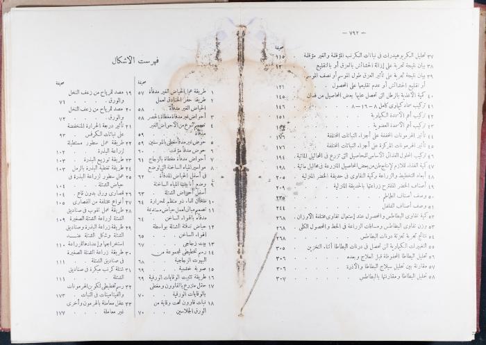 Index and Introduction of the Book 