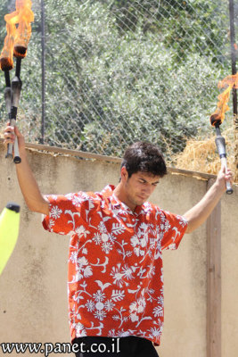 عرض لفرقة مدرسة سيرك فلسطين في المركز الثقافي الألماني الفرنسي 