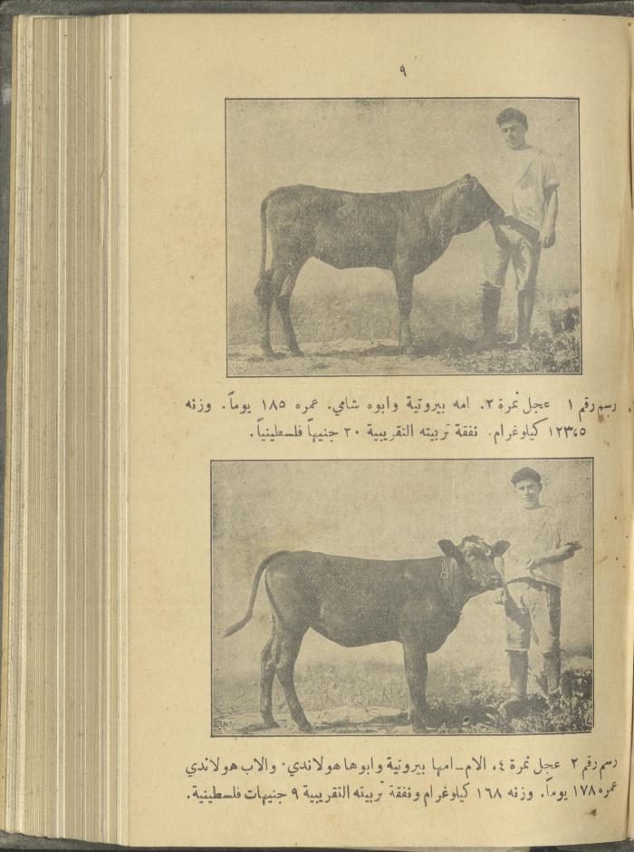 منشورات عن دائرة الزراعة والغابات، مطلع ثلاثينيات القرن العشرين
