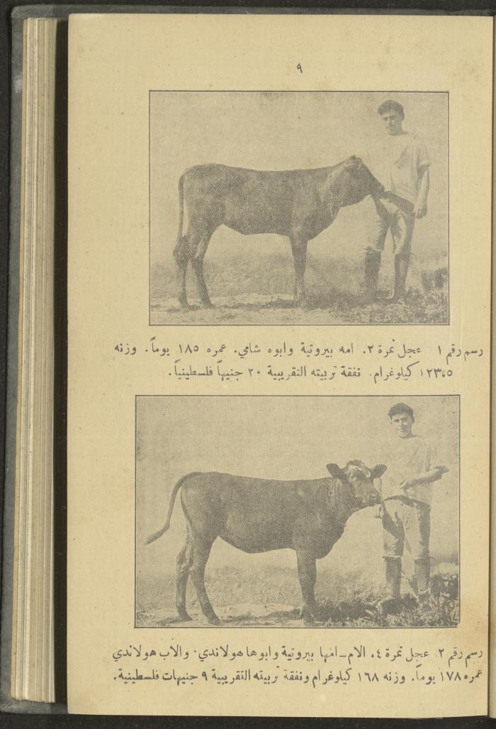 منشورات عن دائرة الزراعة والغابات، مطلع ثلاثينيات القرن العشرين