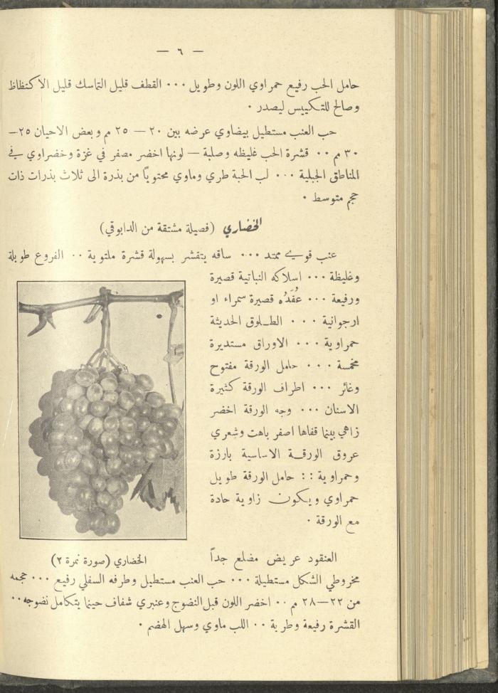 منشورات عن دائرة الزراعة والغابات، مطلع ثلاثينيات القرن العشرين