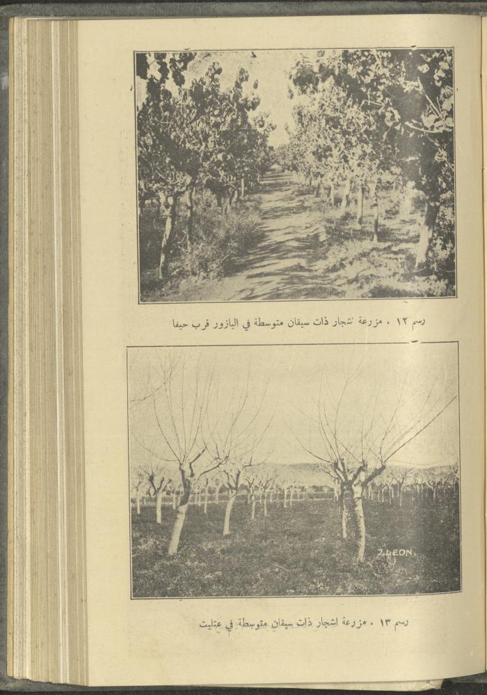 منشورات عن دائرة الزراعة والغابات، مطلع ثلاثينيات القرن العشرين