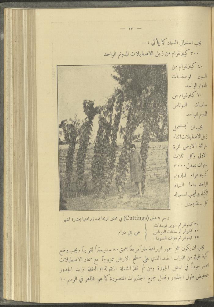 منشورات عن دائرة الزراعة والغابات، مطلع ثلاثينيات القرن العشرين