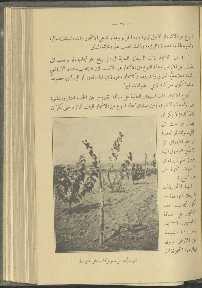 منشورات عن دائرة الزراعة والغابات، مطلع ثلاثينيات القرن العشرين
