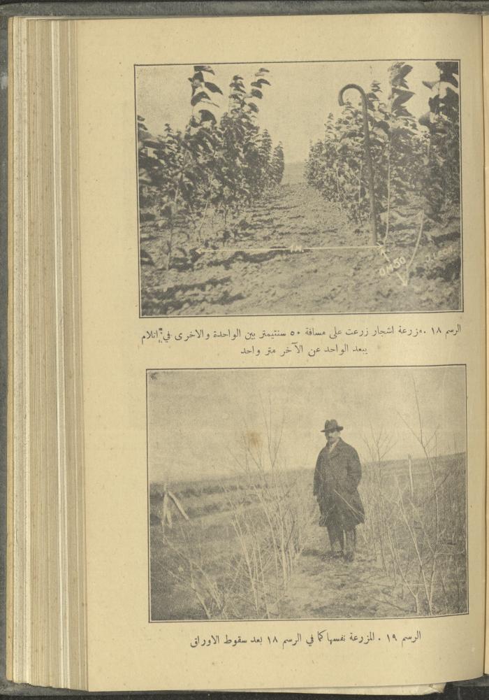 منشورات عن دائرة الزراعة والغابات، مطلع ثلاثينيات القرن العشرين