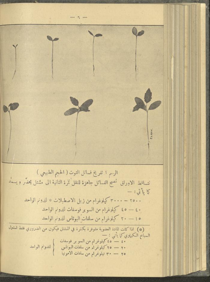 منشورات عن دائرة الزراعة والغابات، مطلع ثلاثينيات القرن العشرين