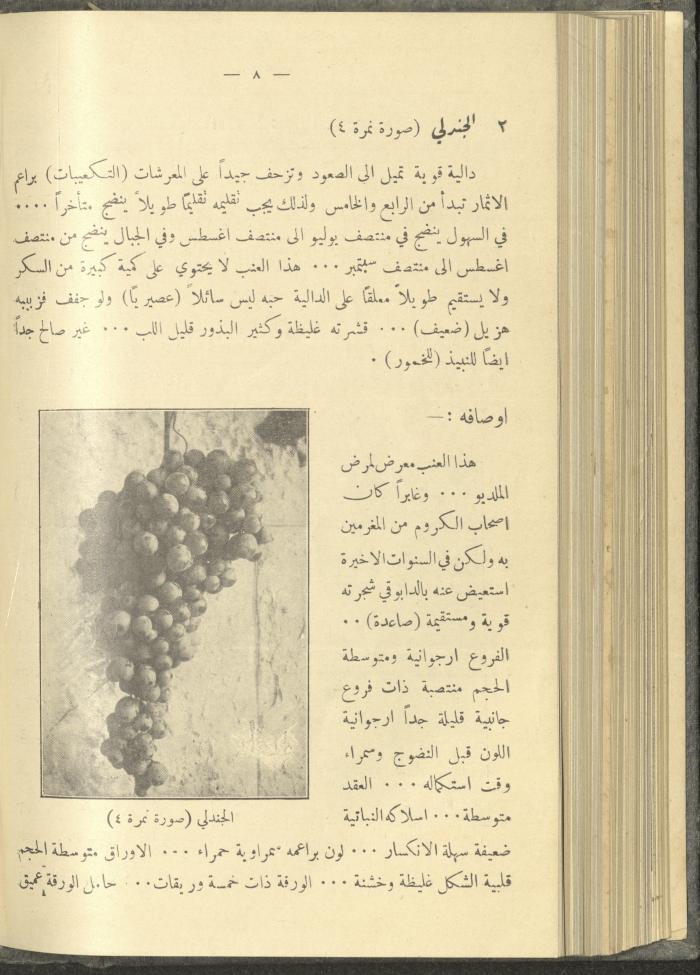 منشورات عن دائرة الزراعة والغابات، مطلع ثلاثينيات القرن العشرين