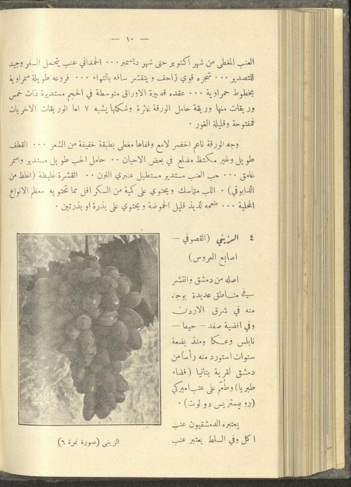منشورات عن دائرة الزراعة والغابات، مطلع ثلاثينيات القرن العشرين