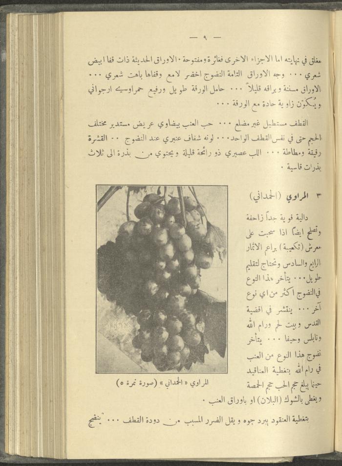 منشورات عن دائرة الزراعة والغابات، مطلع ثلاثينيات القرن العشرين