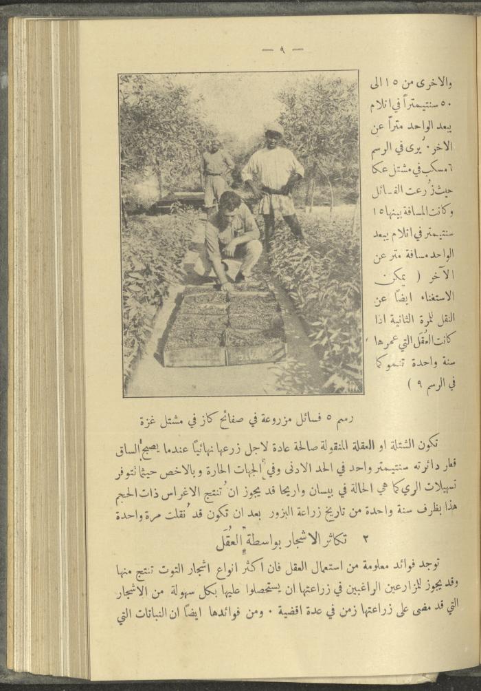 منشورات عن دائرة الزراعة والغابات، مطلع ثلاثينيات القرن العشرين