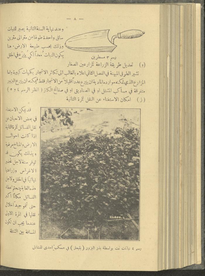 منشورات عن دائرة الزراعة والغابات، مطلع ثلاثينيات القرن العشرين
