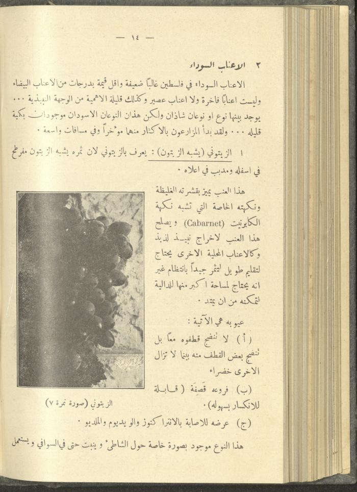 منشورات عن دائرة الزراعة والغابات، مطلع ثلاثينيات القرن العشرين