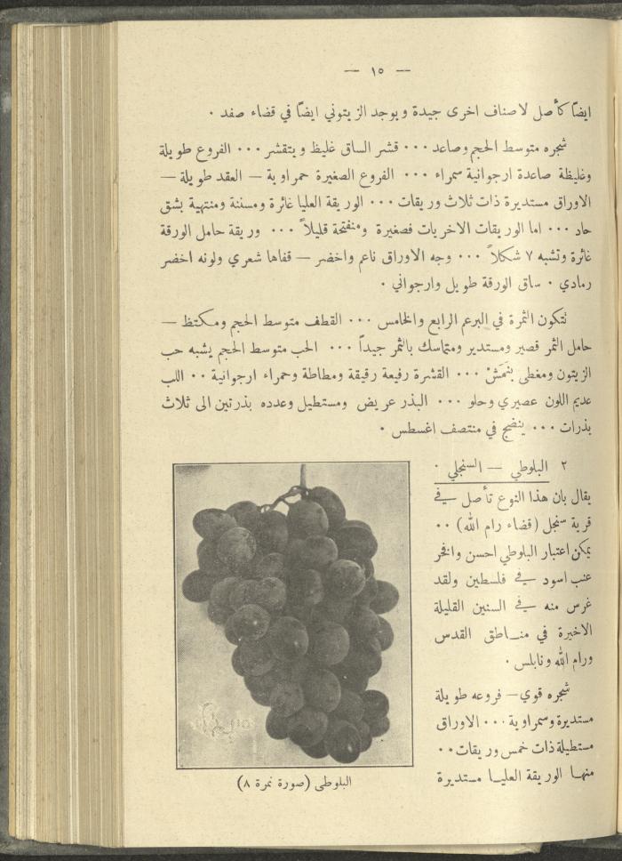 منشورات عن دائرة الزراعة والغابات، مطلع ثلاثينيات القرن العشرين